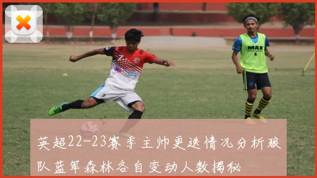 英超22-23赛季主帅更迭情况分析狼队蓝军森林各自变动人数揭秘